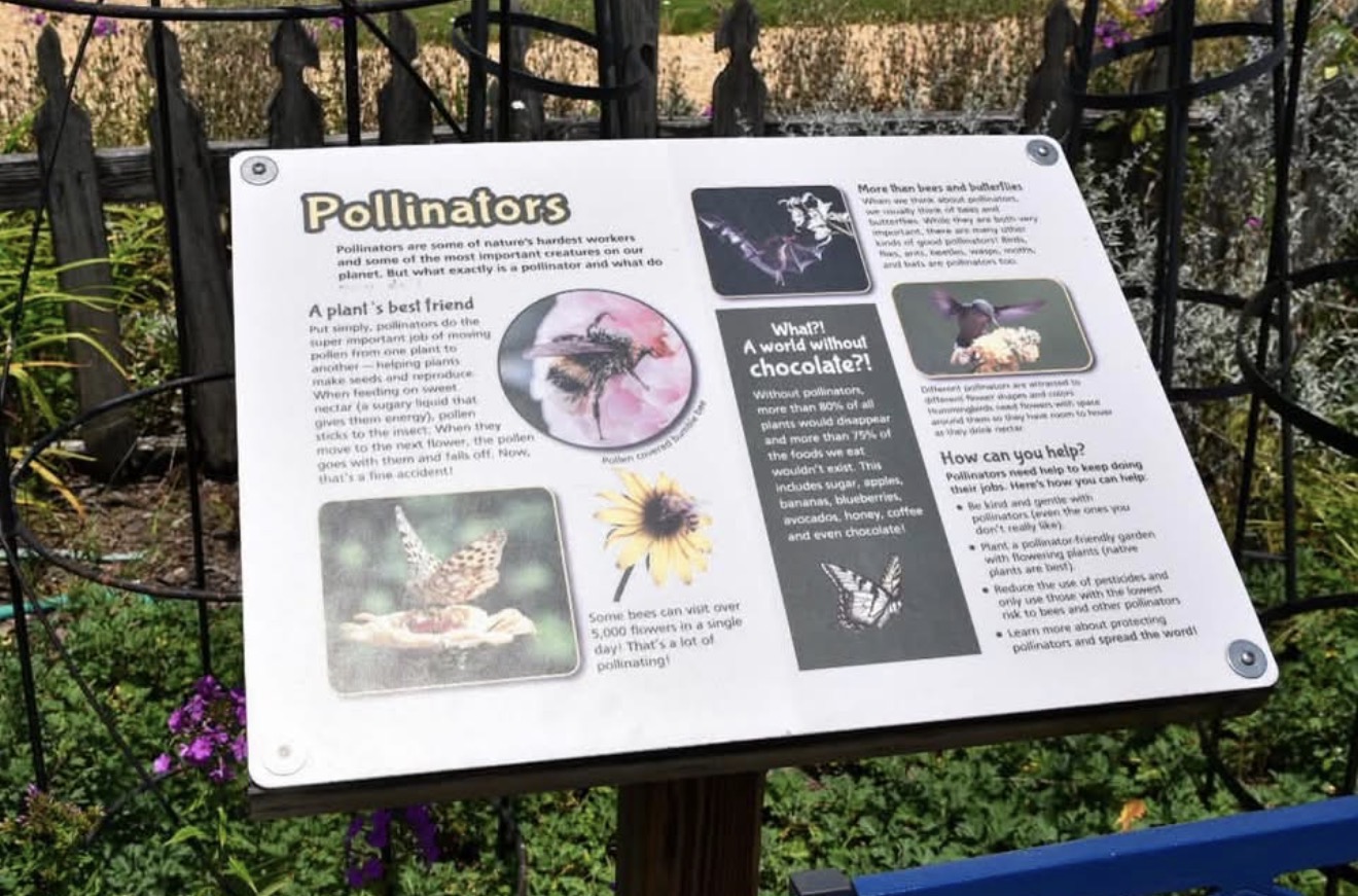 The Great Southeast Pollinator Census